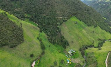 Hacienda en venta cuenta con 14.5 hectáreas.