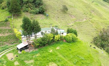 Hacienda en venta cuenta con 14.5 hectáreas.