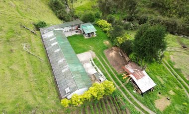 Hacienda en venta cuenta con 14.5 hectáreas.