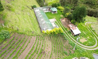 Hacienda en venta cuenta con 14.5 hectáreas.