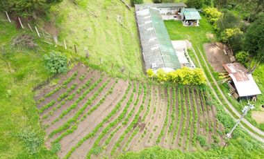 Hacienda en venta cuenta con 14.5 hectáreas.