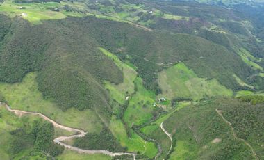 Hacienda en venta cuenta con 14.5 hectáreas.