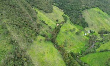 Hacienda en venta cuenta con 14.5 hectáreas.