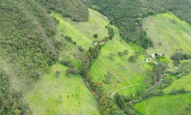 Hacienda en venta cuenta con 14.5 hectáreas.