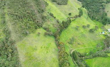Hacienda en venta cuenta con 14.5 hectáreas.