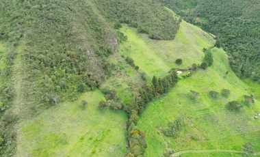 Hacienda en venta cuenta con 14.5 hectáreas.