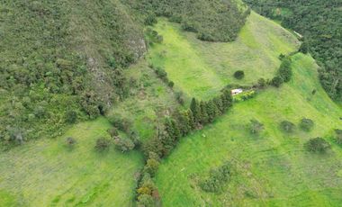 Hacienda en venta cuenta con 14.5 hectáreas.