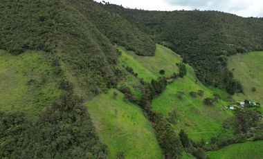 Hacienda en venta cuenta con 14.5 hectáreas.