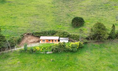 Hacienda en venta cuenta con 14.5 hectáreas.