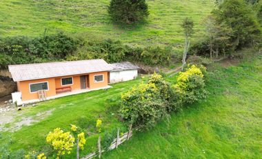 Hacienda en venta cuenta con 14.5 hectáreas.