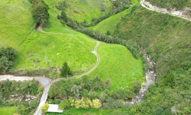 Hacienda en venta cuenta con 14.5 hectáreas.