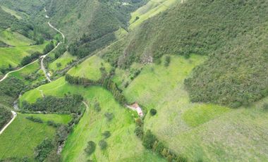 Hacienda en venta cuenta con 14.5 hectáreas.