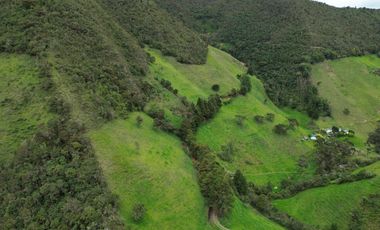 Hacienda en venta cuenta con 14.5 hectáreas.