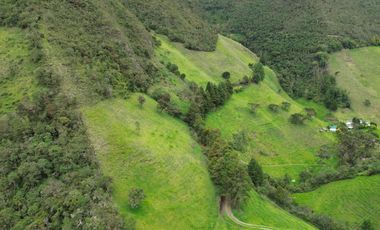 Hacienda en venta cuenta con 14.5 hectáreas.