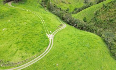 Hacienda en venta cuenta con 14.5 hectáreas.