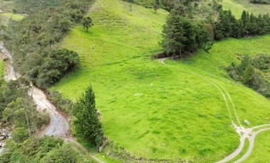 Hacienda en venta cuenta con 14.5 hectáreas.