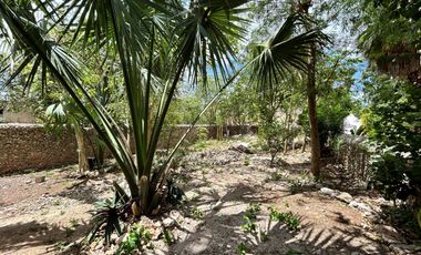 Casa en renta en Sisal en Valladolid Yucatán frente al exconvento san Bernardino