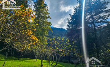 HUERTA SAN LUNES, MUY CERCA DEL CENTRO DEL CHICO EN VENTA $1,475 M2