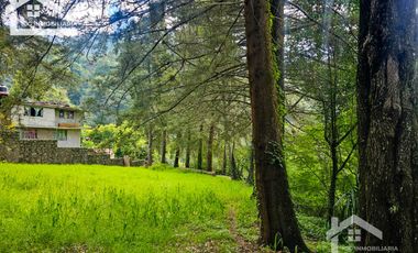 HUERTA SAN LUNES, MUY CERCA DEL CENTRO DEL CHICO EN VENTA $1,475 M2