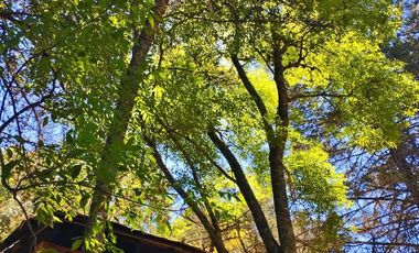 HUERTA SAN LUNES, MUY CERCA DEL CENTRO DEL CHICO EN VENTA $1,475 M2