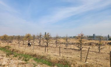 Se vende Parcela camino a Chancon, Rancagua