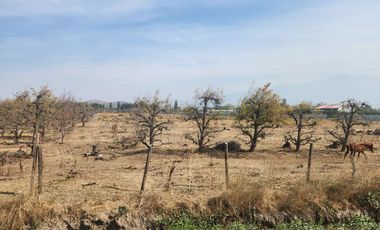Se vende Parcela camino a Chancon, Rancagua