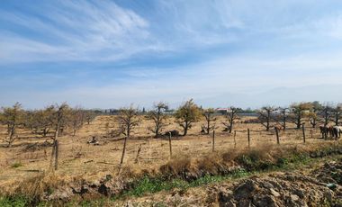 Se vende Parcela camino a Chancon, Rancagua