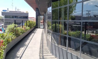 LOCALES EN RENTA- PLAZA LEONA - METEPEC - FRENTE A GALERIAS METEPEC, SAMS SOBRE AVENIDA LEONA VICARIO