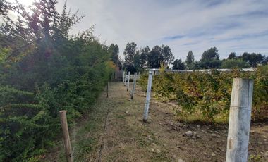Venta Terreno 7.500 m2 y casa de 325 m2, Región del Maule