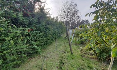 Venta Terreno 7.500 m2 y casa de 325 m2, Región del Maule
