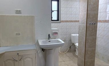 TWO HOUSES FOR SALE IN DUMAGUETE CITY ID 14983