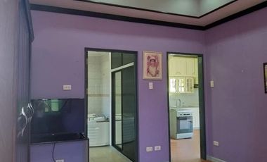 TWO HOUSES FOR SALE IN DUMAGUETE CITY ID 14983
