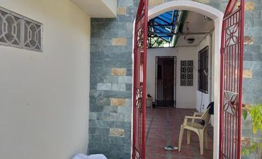 TWO HOUSES FOR SALE IN DUMAGUETE CITY ID 14983
