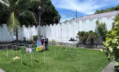 TWO HOUSES FOR SALE IN DUMAGUETE CITY ID 14983