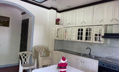 TWO HOUSES FOR SALE IN DUMAGUETE CITY ID 14983