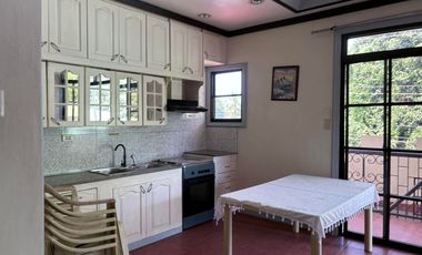 TWO HOUSES FOR SALE IN DUMAGUETE CITY ID 14983