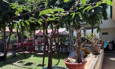 TWO HOUSES FOR SALE IN DUMAGUETE CITY ID 14983