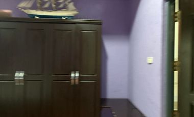 TWO HOUSES FOR SALE IN DUMAGUETE CITY ID 14983