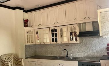 TWO HOUSES FOR SALE IN DUMAGUETE CITY ID 14983