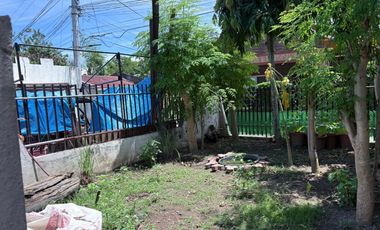 TWO HOUSES FOR SALE IN DUMAGUETE CITY ID 14983