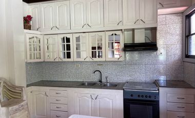 TWO HOUSES FOR SALE IN DUMAGUETE CITY ID 14983