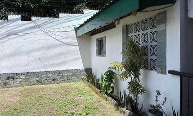 TWO HOUSES FOR SALE IN DUMAGUETE CITY ID 14983