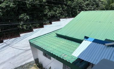TWO HOUSES FOR SALE IN DUMAGUETE CITY ID 14983
