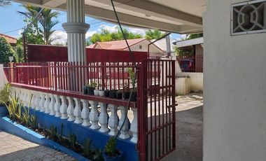 TWO HOUSES FOR SALE IN DUMAGUETE CITY ID 14983