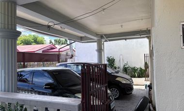 TWO HOUSES FOR SALE IN DUMAGUETE CITY ID 14983