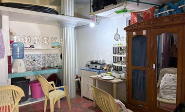 TWO HOUSES FOR SALE IN DUMAGUETE CITY ID 14983
