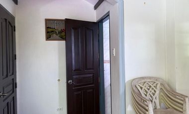 TWO HOUSES FOR SALE IN DUMAGUETE CITY ID 14983