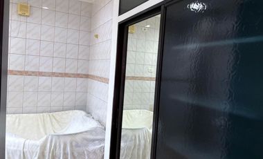 TWO HOUSES FOR SALE IN DUMAGUETE CITY ID 14983