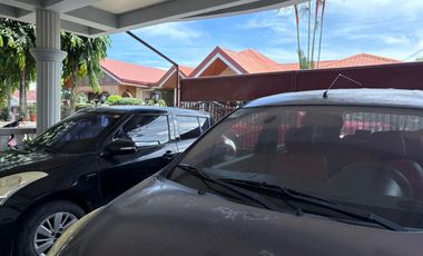 TWO HOUSES FOR SALE IN DUMAGUETE CITY ID 14983