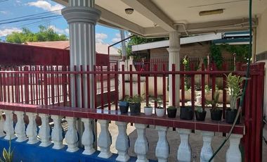 TWO HOUSES FOR SALE IN DUMAGUETE CITY ID 14983